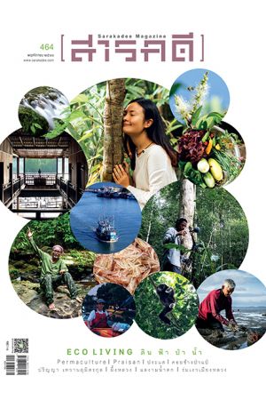 สารคดี ฉบับที่ ๔๖๔ พฤศจิกายน ๒๕๖๖ : ECO LIVING ดิน ฟ้า ป่า น้ำ