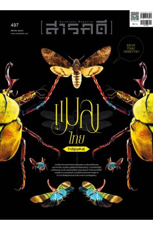 นิตยสารสารคดี ฉบับที่ 497 สิงหาคม 2569 : แมลงไทยใกล้สูญพันธุ์