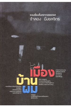 รวมเรื่องสั้นหลากอรรถรส : เมือง บ้าน ผม