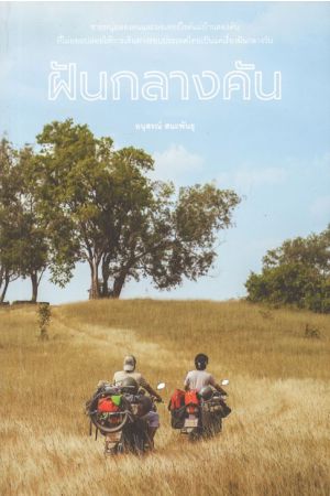 ฝันกลางคัน