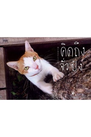 คิดถึงจั่วปัง