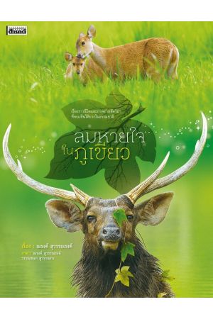 ลมหายใจในภูเขียว