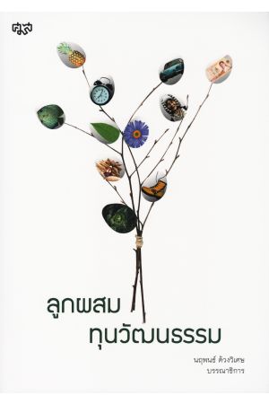 ลูกผสม-ทุนวัฒนธรรม