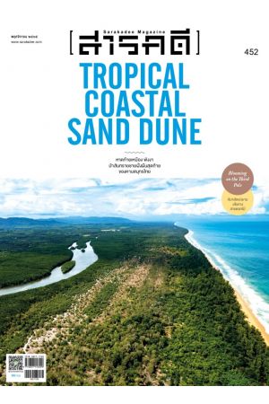 สารคดี ปีที่ ๓๘ ฉบับที่ ๔๕๒ พฤศจิกายน ๒๕๖๕ : TROPICAL COASTAL SAND DUNE หาดท้ายเหมือง พังงา ป่าสันทรายชายฝั่งผื่นสุดท้ายของคาบสมุทรไทย