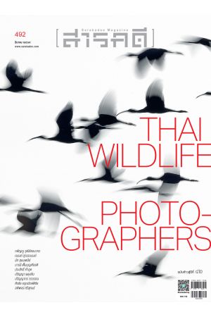 นิตยสารสารคดี ฉบับที่ 492 มีนาคม 2569 : Thai Wildlife Photo Graphers